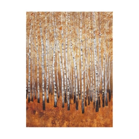 Tim Otoole 'Sienna Birches I' Canvas Art,35x47